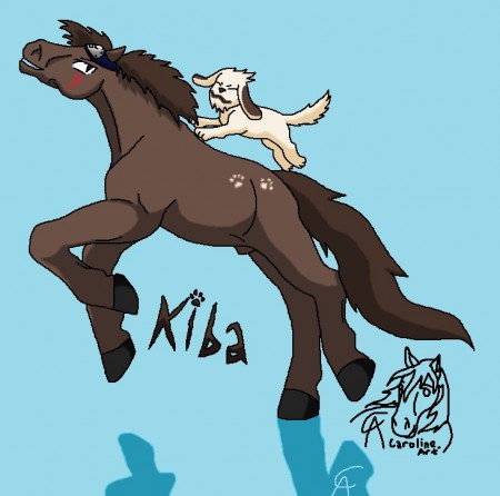 Kiba & Akamaru